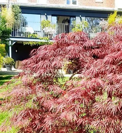 Villa Maison Famille Proche Paris *